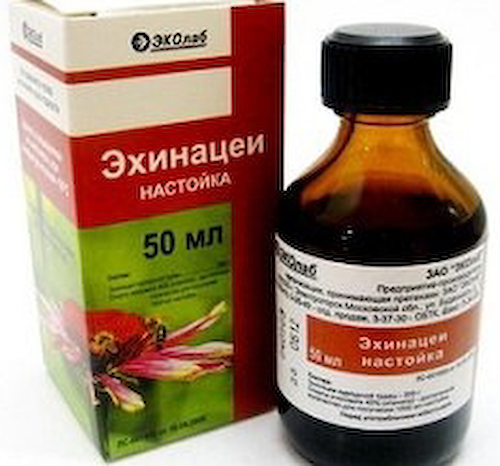 Эхинацеи настойка 50мл #1