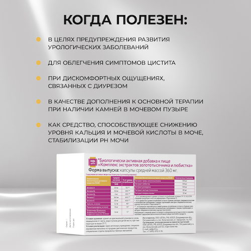 Будь Здоров  Комплекс экстрактов золототысячника и любистка капсулы №60 #1