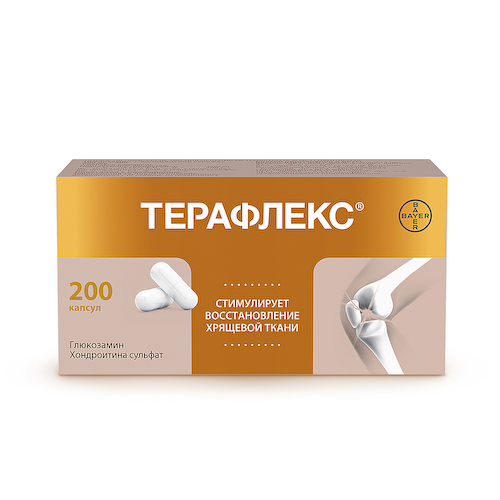 Терафлекс капсулы №200 #1