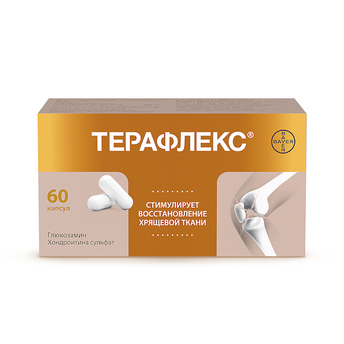 Терафлекс капсулы №60 #1