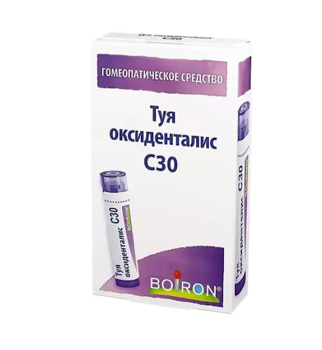 Туя оксиденталис с30 гран гомеопат 4г #1