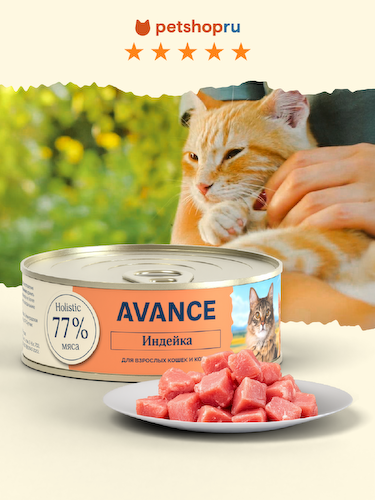Холистики AVANCE holistic консервы #1