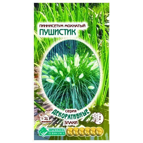Пеннисетум мохнатый Пушистик Евросемена #1
