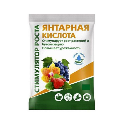 Янтарная кислота, натуральный стимулятор роста 4 г #1