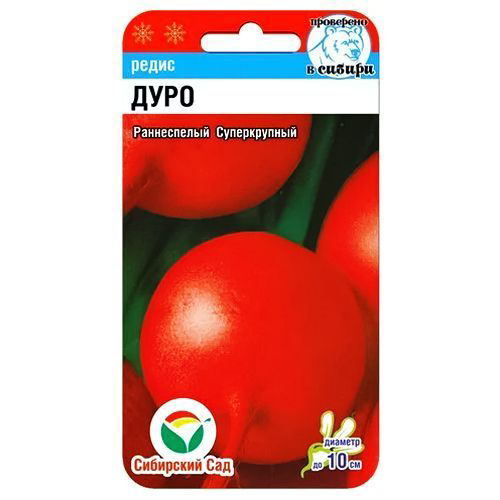 Редис Дуро Сибирский сад #1