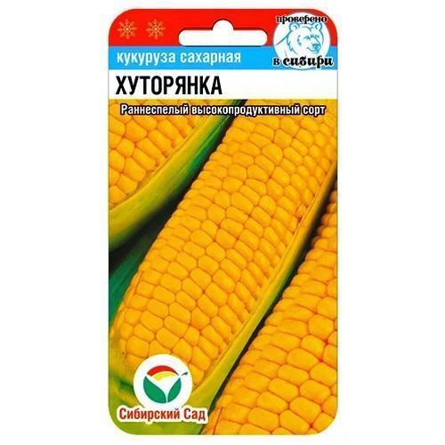 Кукуруза Хуторянка Сибирский сад #1