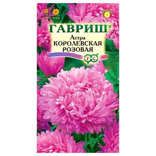 Астра пионовидная Королевская розовая Гавриш #1
