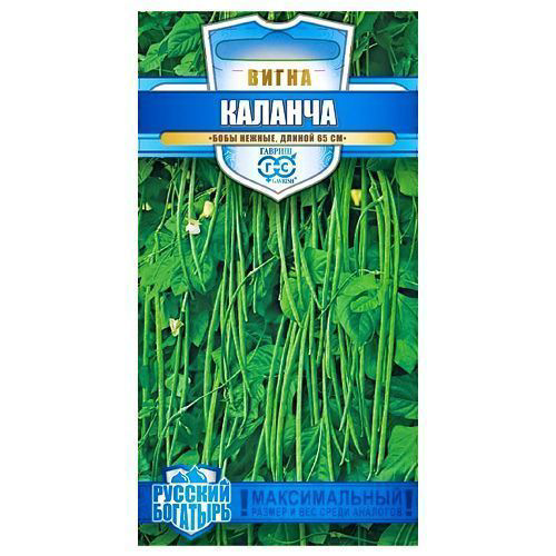 Вигна Каланча Гавриш #1