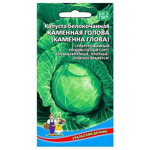 Капуста белокочанная Каменная голова Уральский дачник #1
