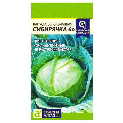 Капуста белокочанная Сибирячка 60 Семена Алтая #1