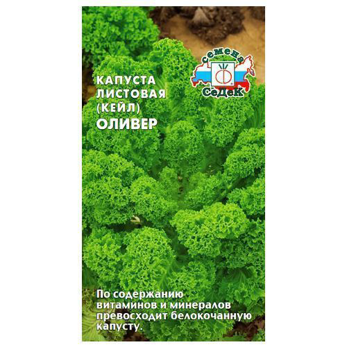Капуста листовая Оливер Седек #1