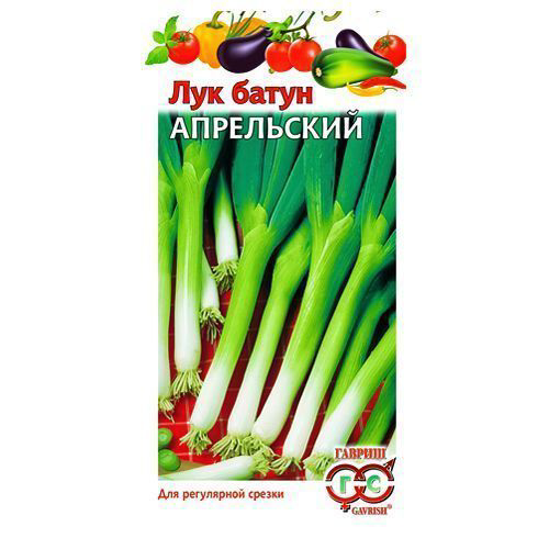Лук батун Апрельский Гавриш #1