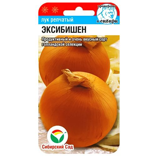 Лук репчатый Эксибишен Сибирский сад #1