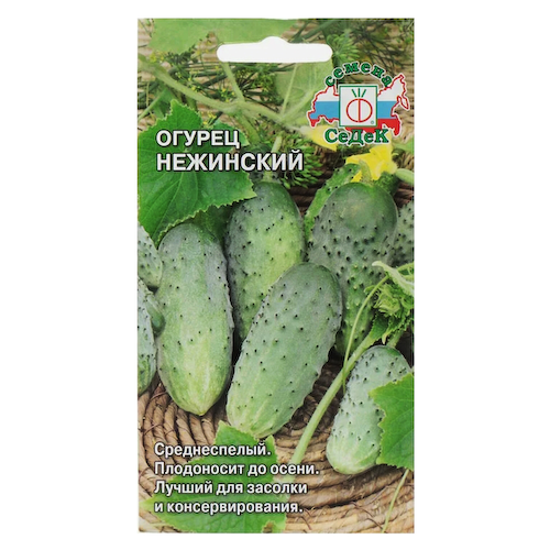 Огурец Нежинский Седек #1