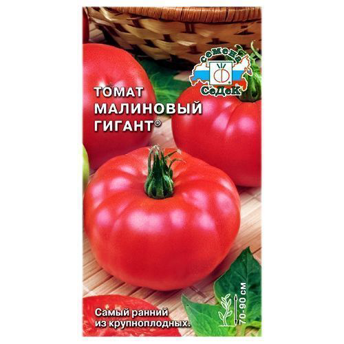 Томат Малиновый гигант Седек #1