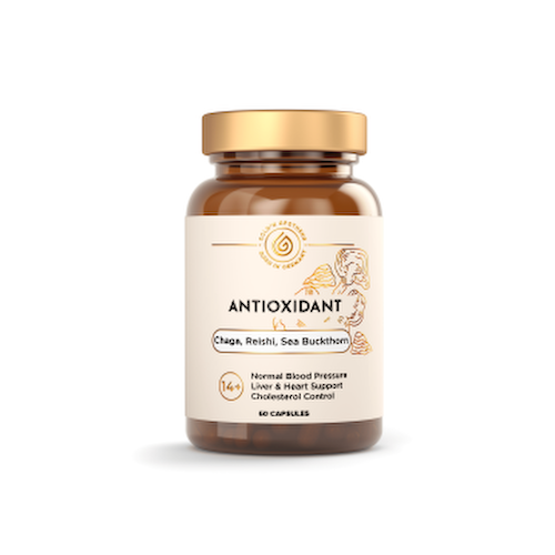 Apotheka, Antioxidant, капсулы, 60 шт. #1