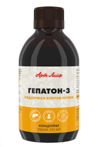 АртЛайф, Взвар «Гепатон-3» (поддержка клеток печени), жидкость, 250 мл #1