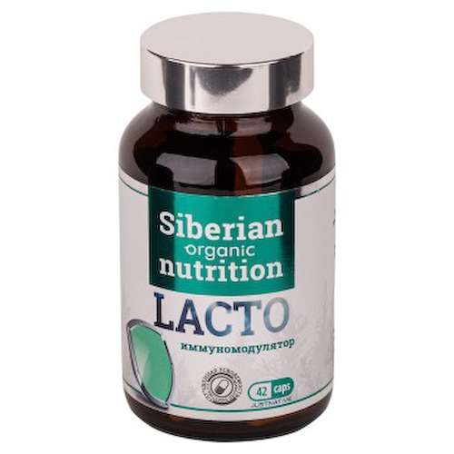 Siberian organic nutrition, Lacto (иммуномодулятор), капсулы, 42 шт. #1