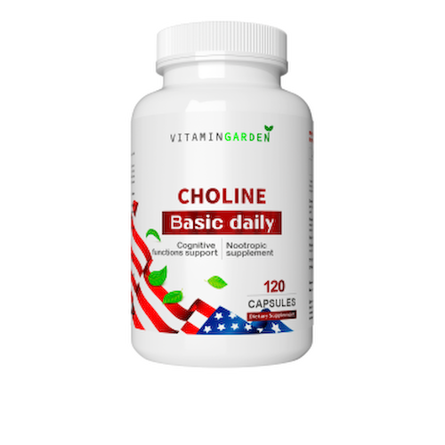 Vitamin Garden, Холин, капсулы, 120 шт. #1