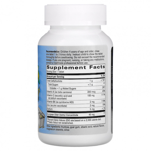 Enzymatic Therapy, Sea Buddies, Защита иммунитета, 60 жевательных таблеток с черникой #1