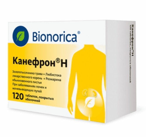 Канефрон Н таблетки 120 шт #1