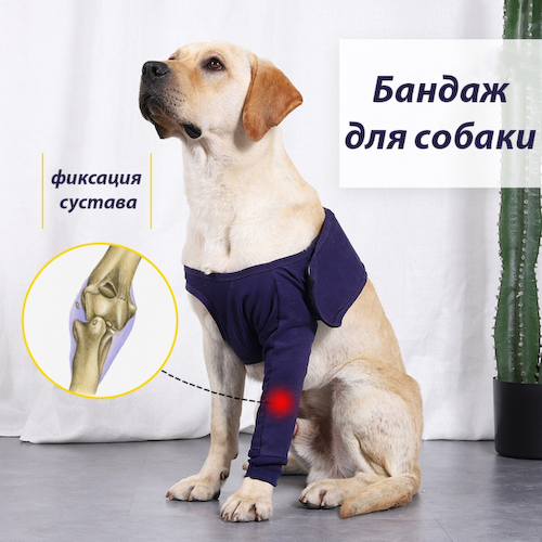 Бандаж на лапу послеоперационный, хлопок+спандекс, размер s (ог 40-52, длина 17 см), синий #1