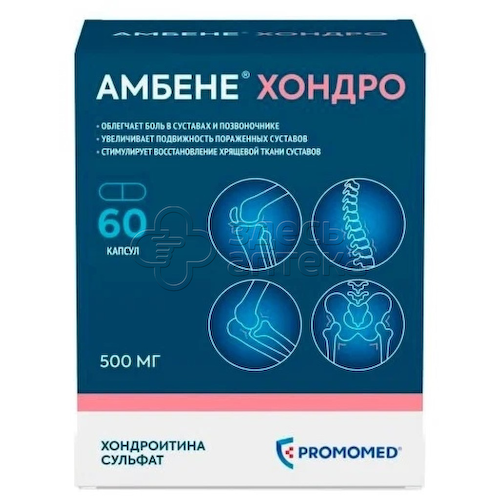 Амбене Хондро капс. 500мг, 60 шт #1