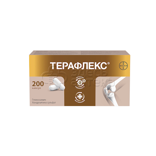 Терафлекс 500 мг + 400 мг капсулы, 200 шт #1