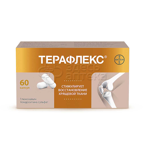 Терафлекс 60 капсул #1