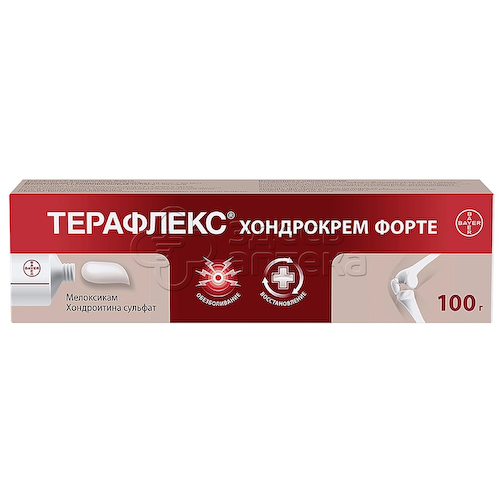 Терафлекс Хондрокрем Форте 10 мг/г + 50 мг/г крем для наружного применения туба, 100г #1