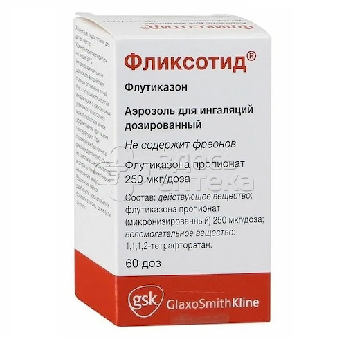 Фликсотид аэрозоль  250мкг/доза 60 доз #1