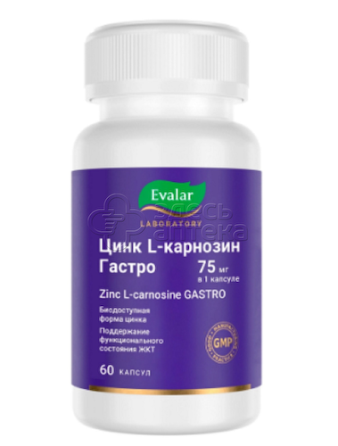 Цинк-L-Карнозин гастро Эвалар 0,2г капсулы, 60 шт #1