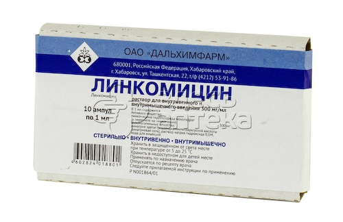 Линкомицина гидрохлорид 300 мг/мл раствор для внутривенного и внутримышечного введения 1 мл ампулы, 10 шт #1