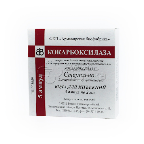 Кокарбоксилазы гидрохлорид лиоф д/р-ра для в/м введ 50мг амп. с р-лем. N5 #1