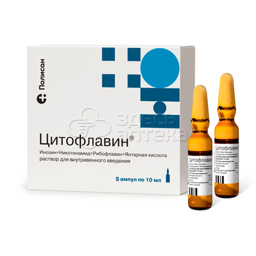 Цитофлавин раствор для внутривенного введения 10 мл ампулы, 5 шт #1