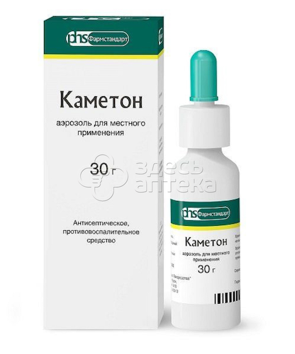 Каметон аэрозоль для местного применения баллон, 30 г #1