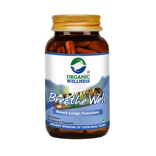Бриф-Вэлл (90 кап, 325 мг), Breathe-Well, произв. Organic Wellness #1