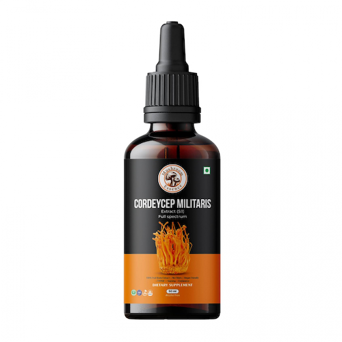 Экстракт гриба Кордицепс (50 мл), Cordycep Militaris Mushroom Extract, произв. Mushroom Essence #1