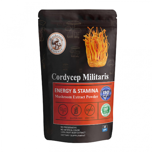 Экстракт гриба Кордицепс (60 г), Cordycep Militaris Mushroom Extract Powder, произв. Mushroom Essence #1