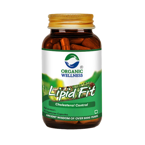 Липид-Фит (90 кап, 400 мг), Lipid-Fit, произв. Organic Wellness #1
