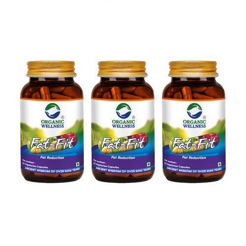 Набор Фэт-Фит (3 x 90 кап, 345 мг), Fat-Fit Set, произв. Organic Wellness #1