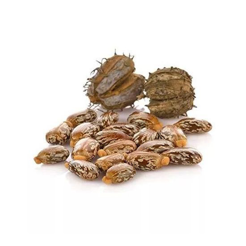 Набор семян Клещевины (5 x 100 г), Castor Seeds Set, произв. India #1