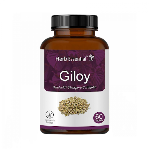 Гилой (Гудучи) (60 таб, 500 мг), Giloy (Guduchi), произв. Herb Essential #1