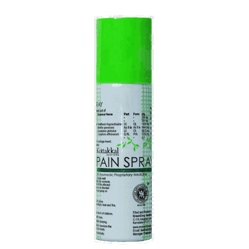 Пэйн спрей (60 мл), Pain Spray, произв. Kottakkal Ayurveda #1