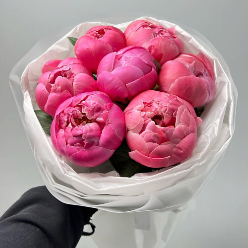 FLORES 7 коралловых пионов Корал Шарм #1