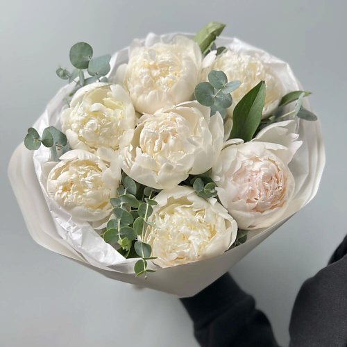 FLORES Шикарные белые пионы Мадам Клод #1