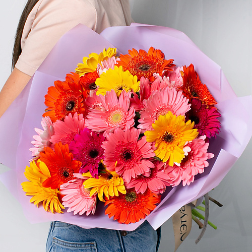 ЛЭТУАЛЬ FLOWERS Букет из разноцветных Гермини 25 шт. #1