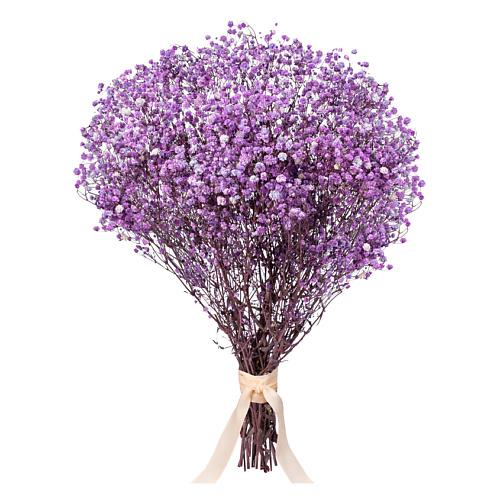 MANDARIN DECOR Букет из сухоцветов гипсофила, декоративные цветы #1