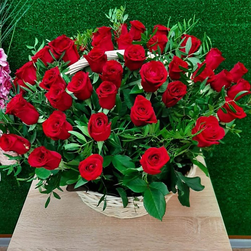 РОЗЫ УРАЛА Корзина из 51 бордовой розы с зеленью #1