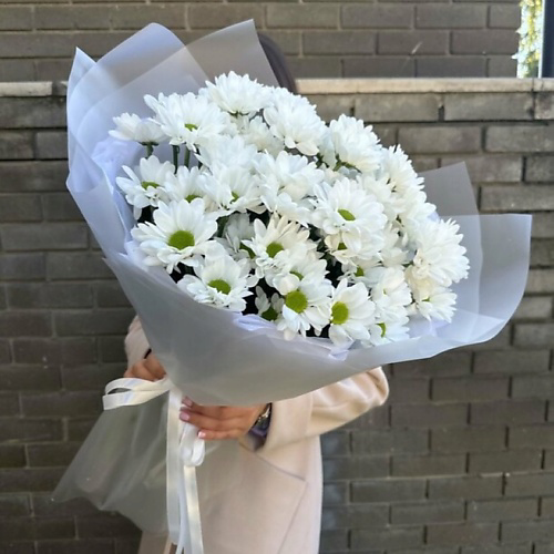 SALON BUKET 7 Кустовых Хризантем в упаковке #1